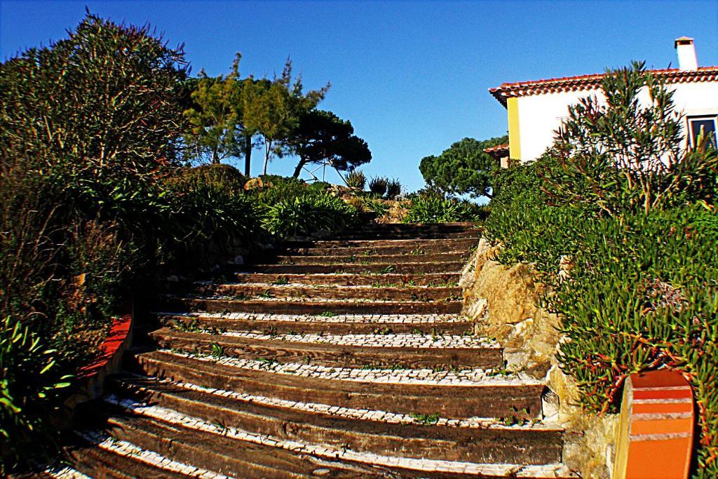 Quinta Da Torre - Obidos Country House Εξωτερικό φωτογραφία