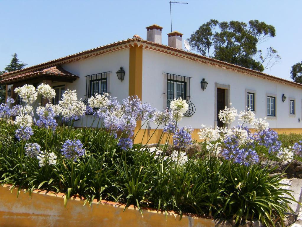 Quinta Da Torre - Obidos Country House Εξωτερικό φωτογραφία