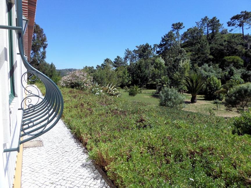 Quinta Da Torre - Obidos Country House Εξωτερικό φωτογραφία